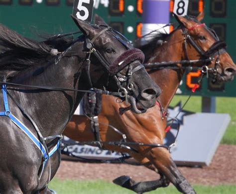 twinspires carryover|TwinSpires Blog: CARRYOVER! Why racing leads the way in .